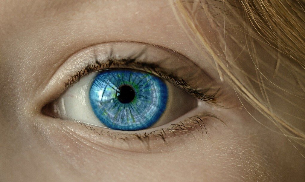 El ojo es vulnerable a los rayos ultravioleta artificiales