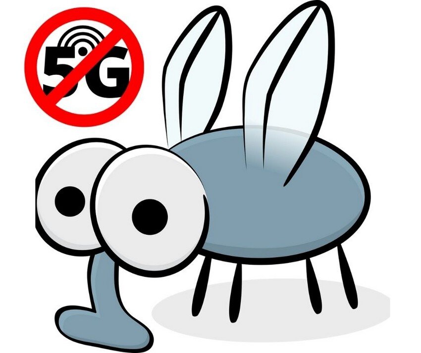 el 5G detrás de la desaparición de los mosquitos